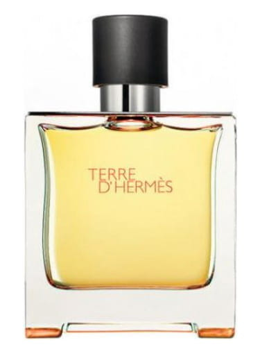 HERMES TERRE D'HERMES PARFUM 100ML EDP