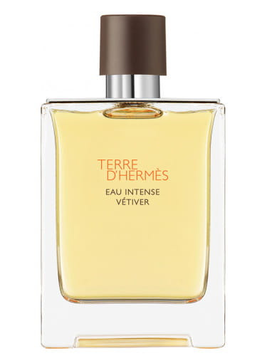 PRODUKT ZAFOLIOWANY HERMES TERRE D'HERMES INTENSE VETIVER 100ML EDP