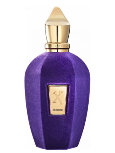 PRODUKT ZAFOLIOWANY XERJOFF ACCENTO 100ML EDP