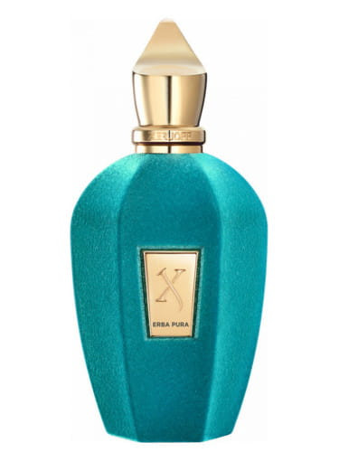 XERJOFF ERBA PURA 100ML EDP
