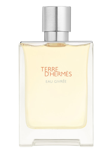 HERMES TERRE DHERMES EAU GIVREE 100 ML EDP