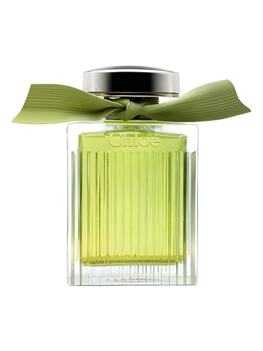 PRODUKT ZAFOLIOWANY CHLOE L'EAU DE PARFUM INTENSE 100 ML EDP INTENSE